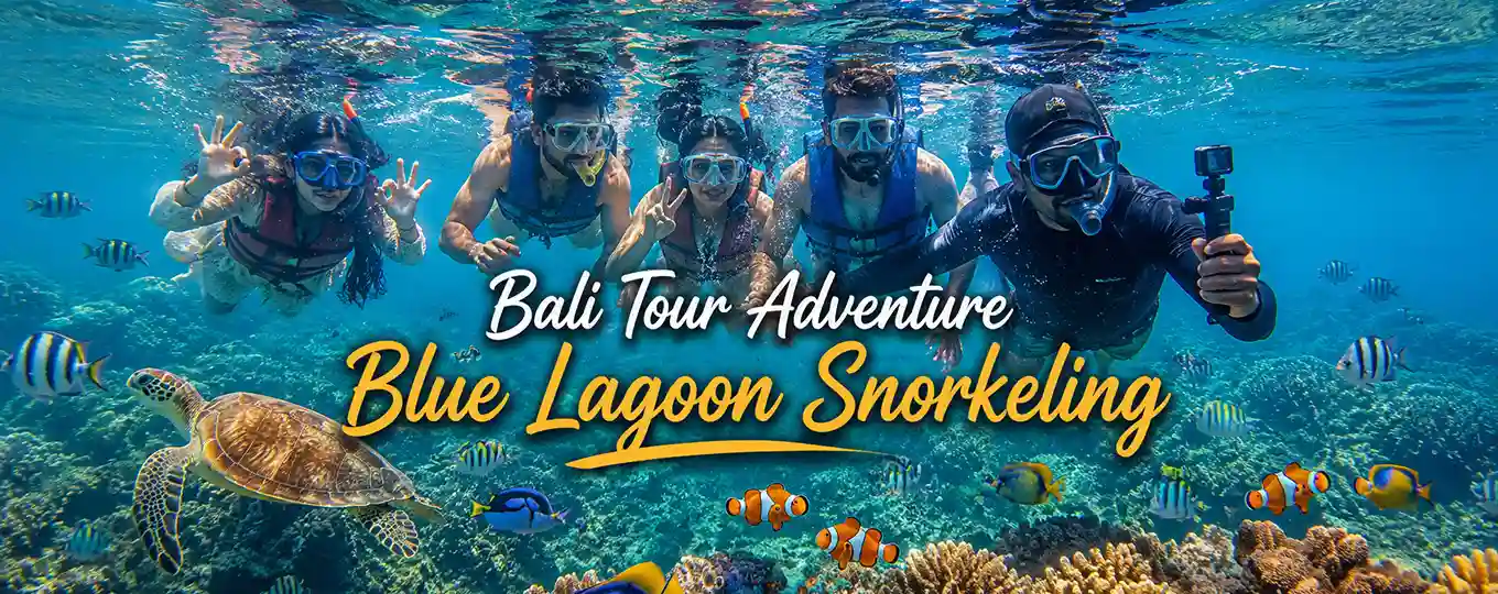 Bali Tour Adventure Blue Lagoon Snorkeling trip with crystal clear water nemo fish and sea turtle