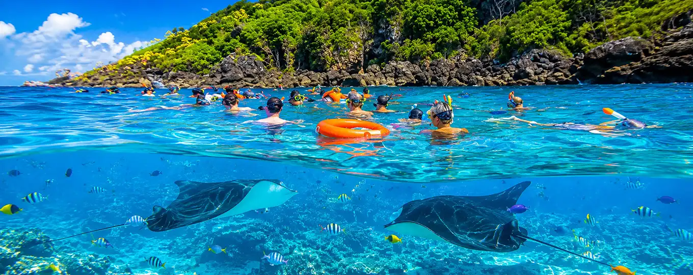 Bali Snorkeling Manta Point Tour See Manta Ray with clear tropical water